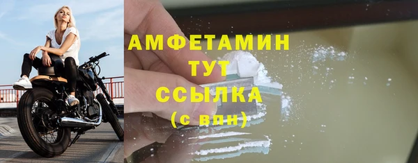 ГАЛЛЮЦИНОГЕННЫЕ ГРИБЫ Бородино