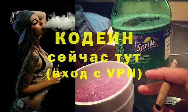 индика Домодедово