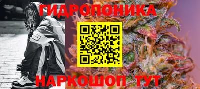 дживик Аргун