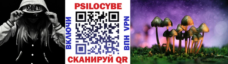Галлюциногенные грибы Magic Shrooms Партизанск