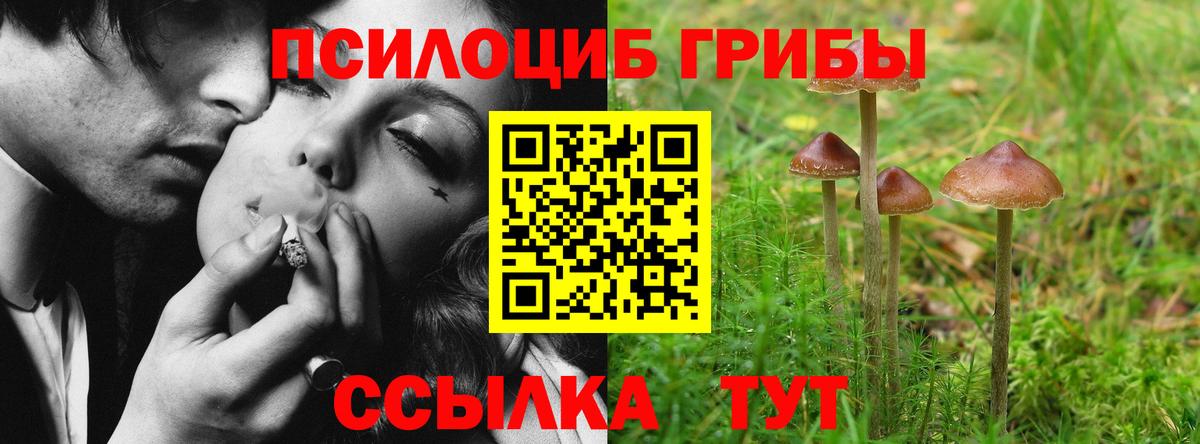 Псилоцибиновые грибы Magic Shrooms Партизанск